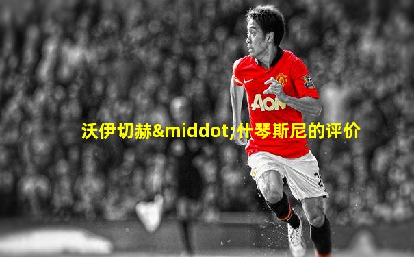 沃伊切赫·什琴斯尼的评价
