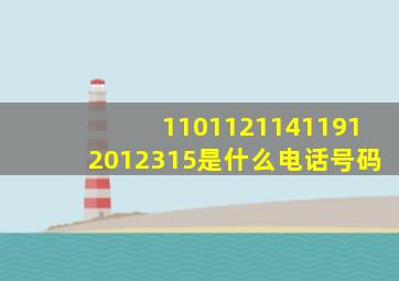 11011211411912012315是什么电话号码