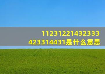 11231221432333423314431是什么意思
