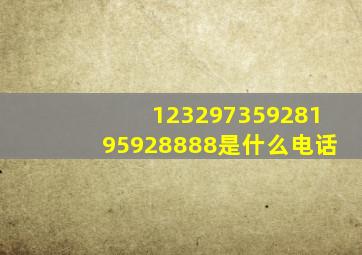 12329735928195928888是什么电话
