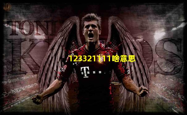 123321111啥意思