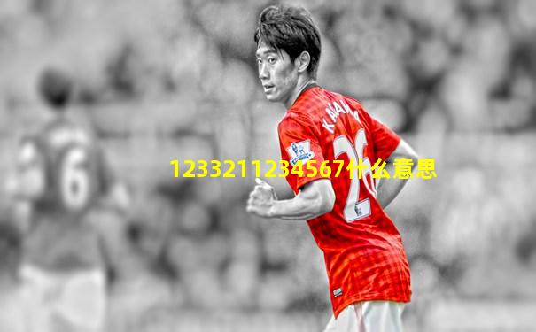 1233211234567什么意思