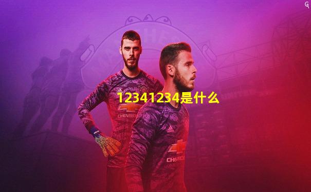 12341234是什么