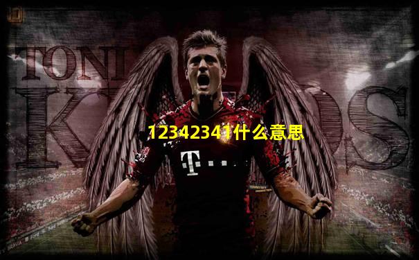 12342341什么意思