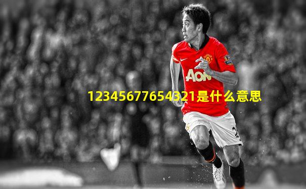 12345677654321是什么意思