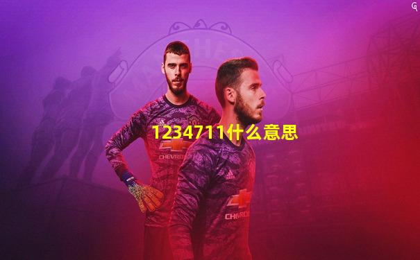 1234711什么意思