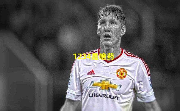 1234是啥药