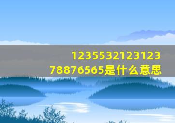 123553212312378876565是什么意思