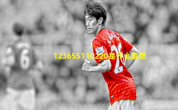 123655110220是什么意思