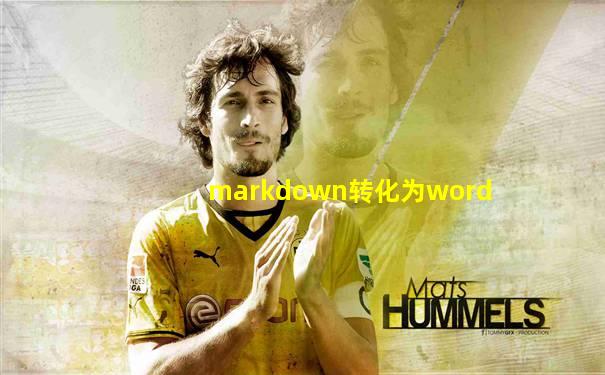 markdown转化为word
