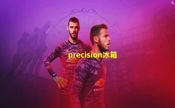 precision冰箱
