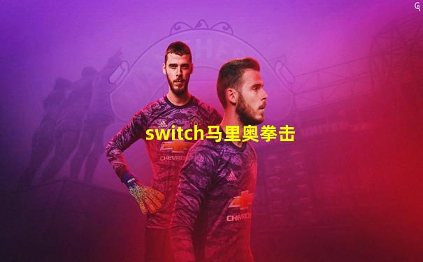 switch马里奥拳击