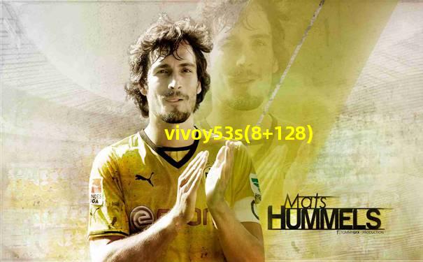 vivoy53s(8+128)