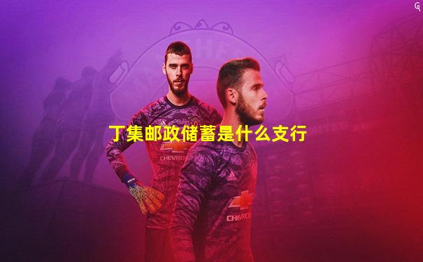 丁集邮政储蓄是什么支行