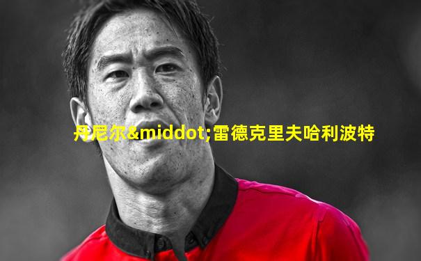丹尼尔·雷德克里夫哈利波特