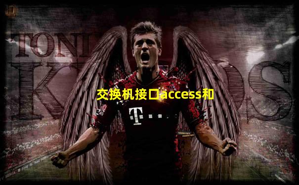 交换机接口access和
