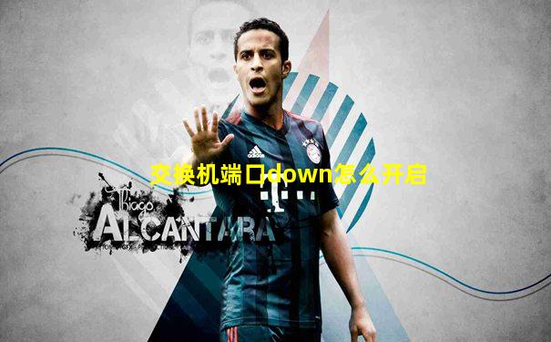 交换机端口down怎么开启