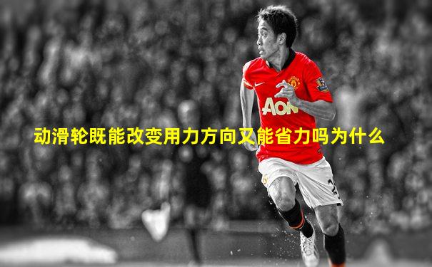 动滑轮既能改变用力方向又能省力吗为什么