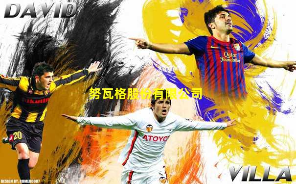 努瓦格股份有限公司