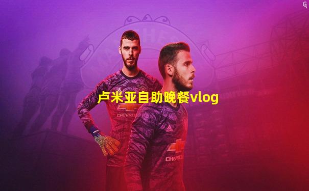 卢米亚自助晚餐vlog