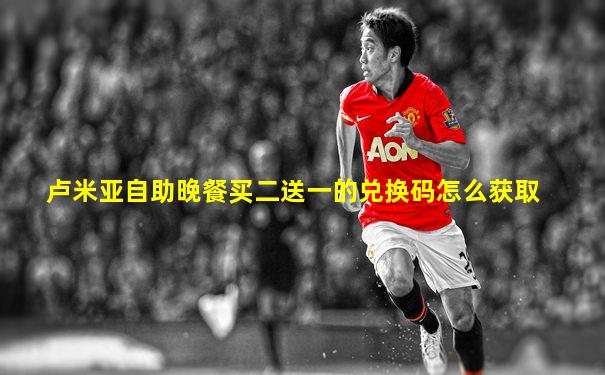 卢米亚自助晚餐买二送一的兑换码怎么获取
