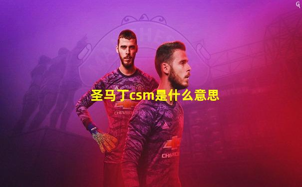 圣马丁csm是什么意思