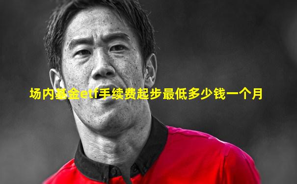 场内基金etf手续费起步最低多少钱一个月
