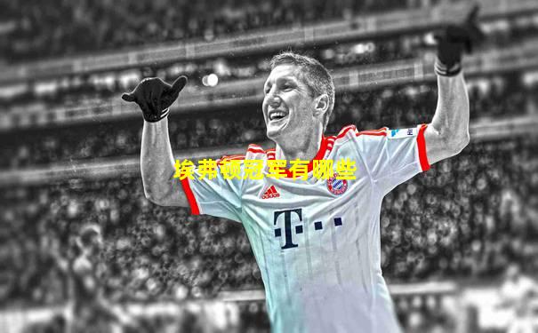 埃弗顿冠军有哪些