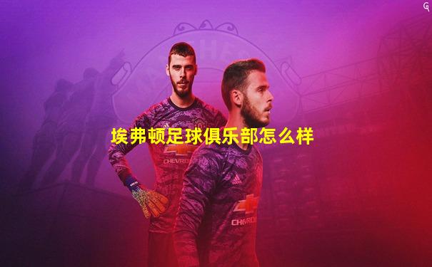 埃弗顿足球俱乐部怎么样