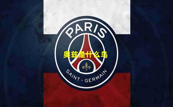 奥兹是什么鸟