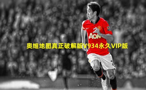 奥维地图真正破解版V934永久VIP版
