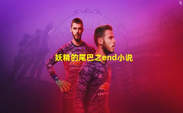妖精的尾巴之end小说