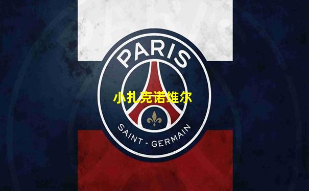 小扎克诺维尔