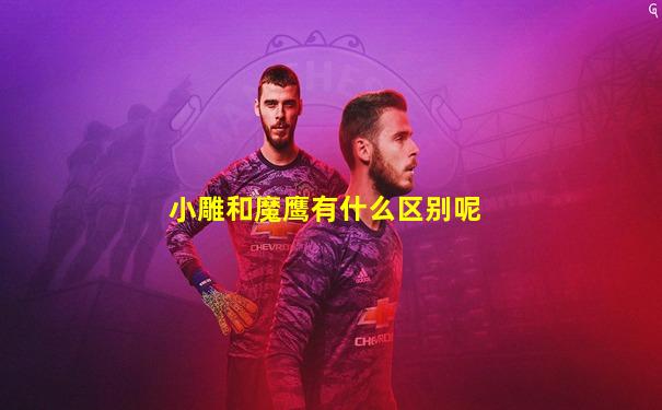 小雕和魔鹰有什么区别呢