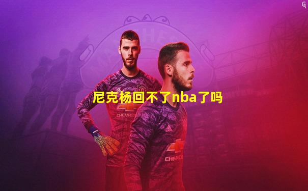 尼克杨回不了nba了吗