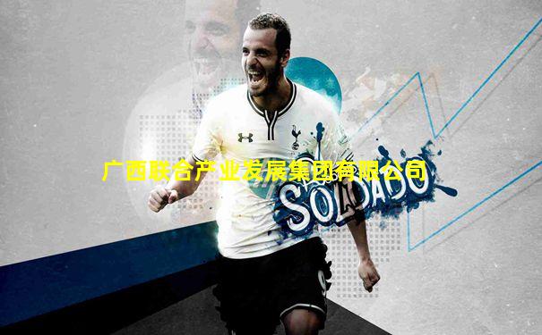 广西联合产业发展集团有限公司