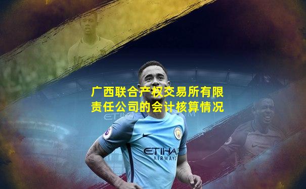 广西联合产权交易所有限责任公司的会计核算情况