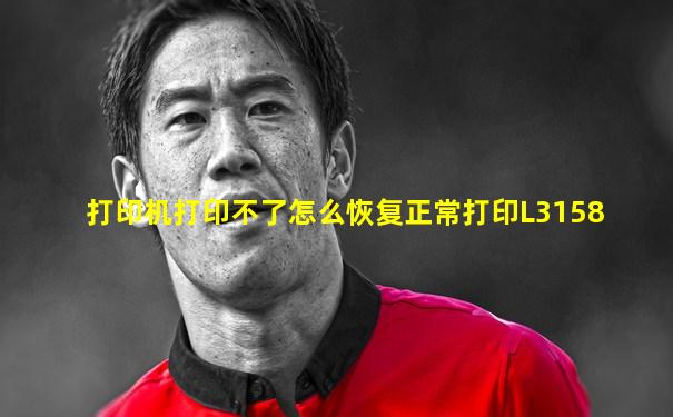 打印机打印不了怎么恢复正常打印L3158