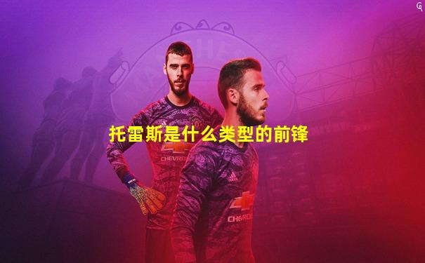 托雷斯是什么类型的前锋