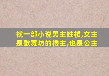 找一部小说男主姓楼,女主是歌舞坊的楼主,也是公主