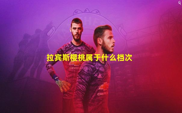 拉宾斯樱桃属于什么档次