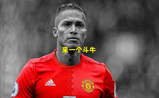 来一个斗牛