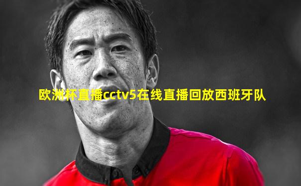 欧洲杯直播cctv5在线直播回放西班牙队