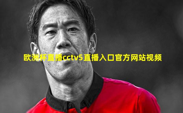 欧洲杯直播cctv5直播入口官方网站视频