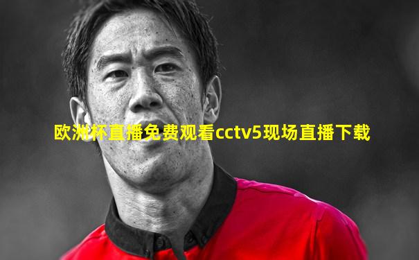 欧洲杯直播免费观看cctv5现场直播下载