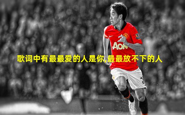 歌词中有最最爱的人是你,最最放不下的人