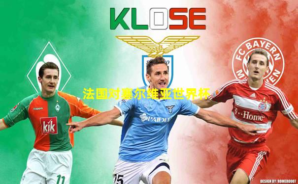法国对塞尔维亚世界杯