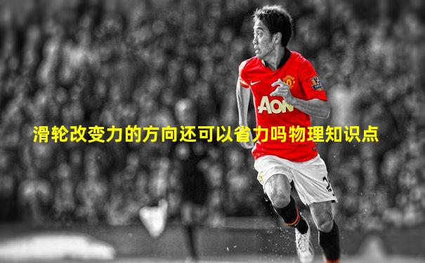 滑轮改变力的方向还可以省力吗物理知识点