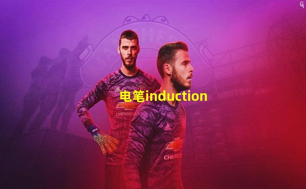 电笔induction