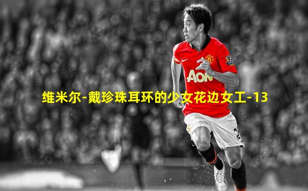 维米尔-戴珍珠耳环的少女花边女工-13